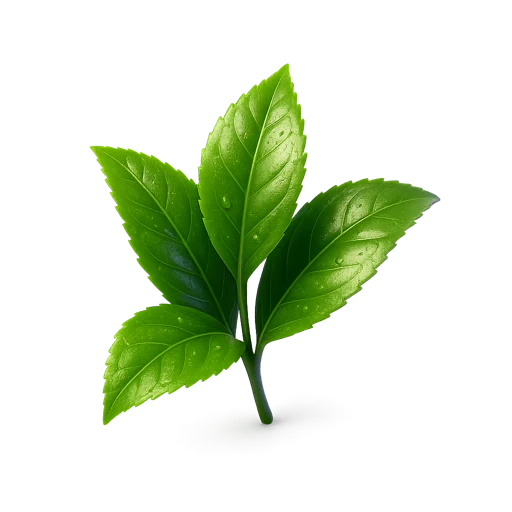 Té Verde
